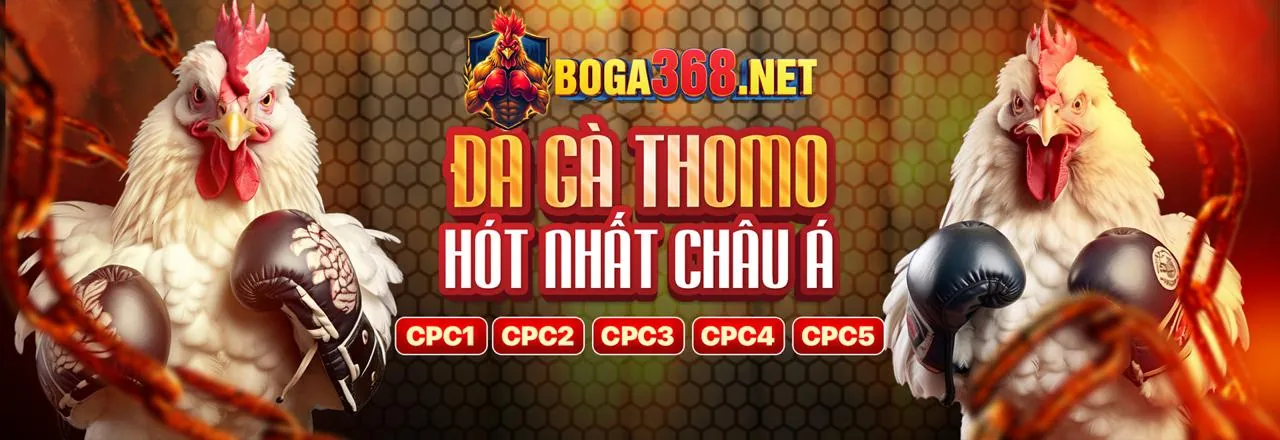 Đá Gà Trực Tuyến Songbac68 Link Mới